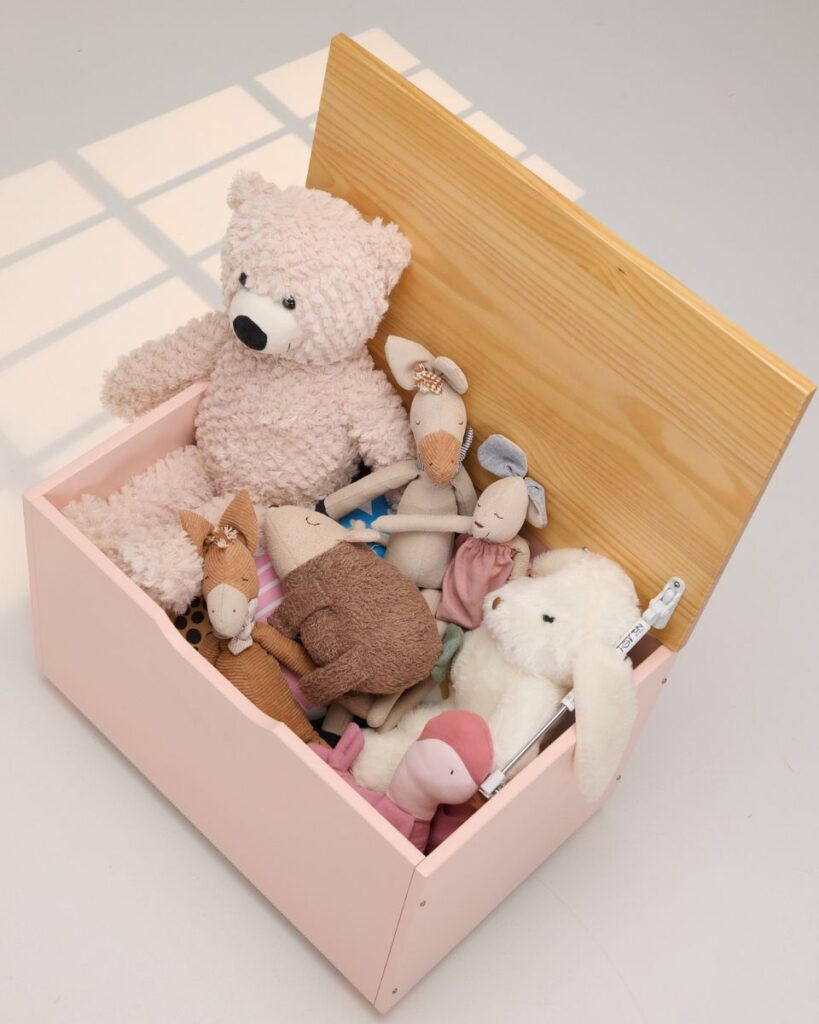 bau-organizador-infantil