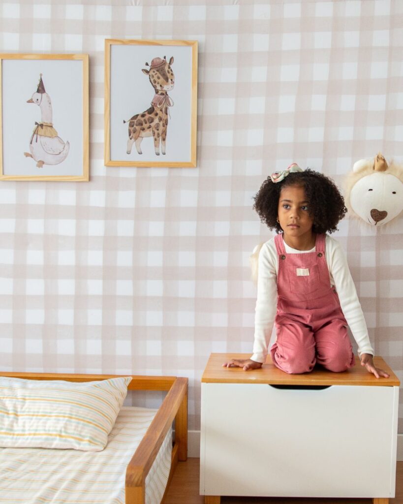 bau-organizador-infantil (1)